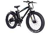 Biciclete Electrice