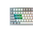 Tastatura mecanica gaming bluetooth Asus ROG Azoth PBT NX Snow alba cu gri iluminare RGB