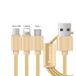 Cablu Biostar USB 2.0