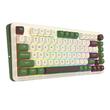Tastatura gaming mecanica Bluetooth cu si fara fir Redragon Cyrus Pro alba cu verde iluminare RGB
