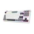 Tastatura gaming mecanica Bluetooth cu si fara fir Redragon Otiim Pro alba cu gri iluminare RGB