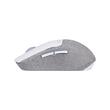 Mouse bluetooth si wireless Delux M520DB alb