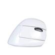 Mouse wireless si bluetooth Delux M618 mini alb pentru stangaci