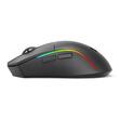 Mouse gaming Bluetooth cu si fara fir Redragon Deicide Lite negru iluminare RGB