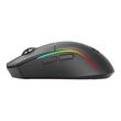 Mouse gaming Bluetooth cu si fara fir Redragon Deicide Standard negru iluminare RGB
