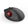 Mouse wireless si bluetooth cu trackball Delux MT1 negru