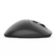 Mouse wireless si bluetooth cu trackball Delux MT1 negru
