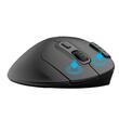 Mouse wireless si bluetooth cu trackball Delux MT1 negru